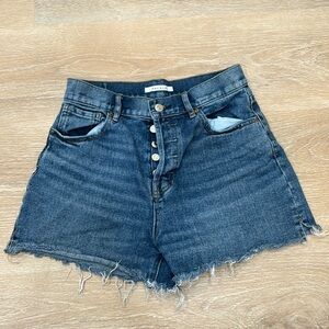 Pac Sun High Rise Icon Short
